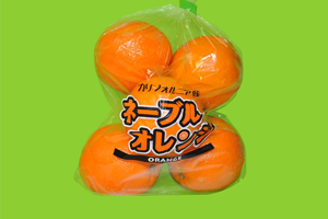 サンプル